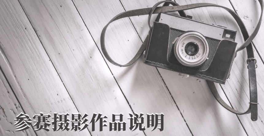 2DF61378-8DFD-4348-A4B2-1F90746490E9