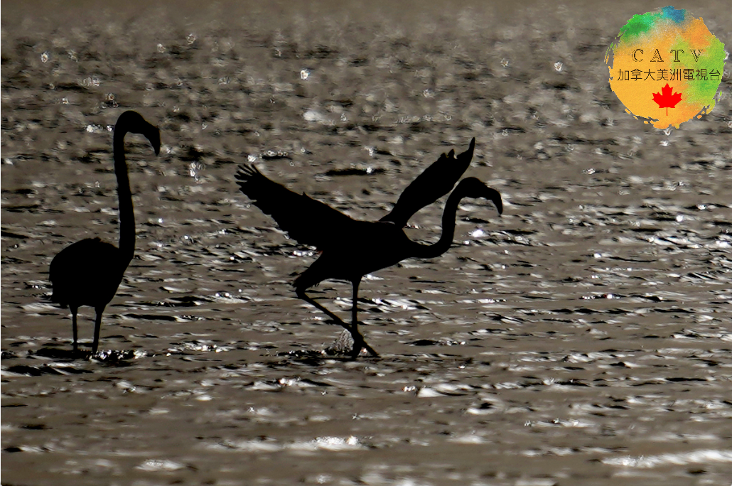 微信图片_20251130214002_590_77