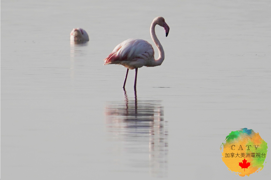 微信图片_20251130214247_593_77