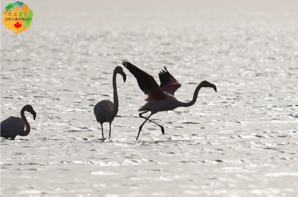 微信图片_20251130213915_589_77