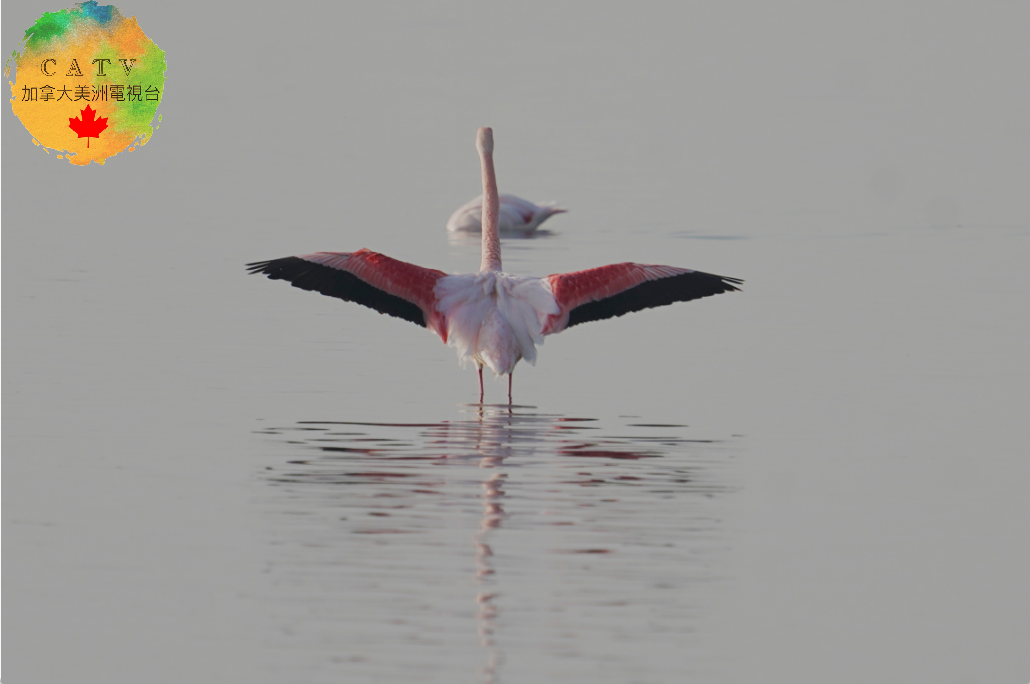 微信图片_20251130214124_592_77