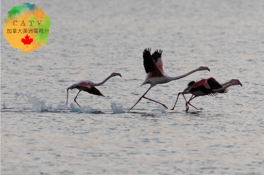 微信图片_20251130214326_594_77