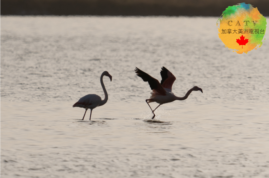 微信图片_20251130214515_596_77