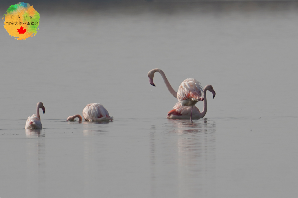 微信图片_20251130213828_588_77