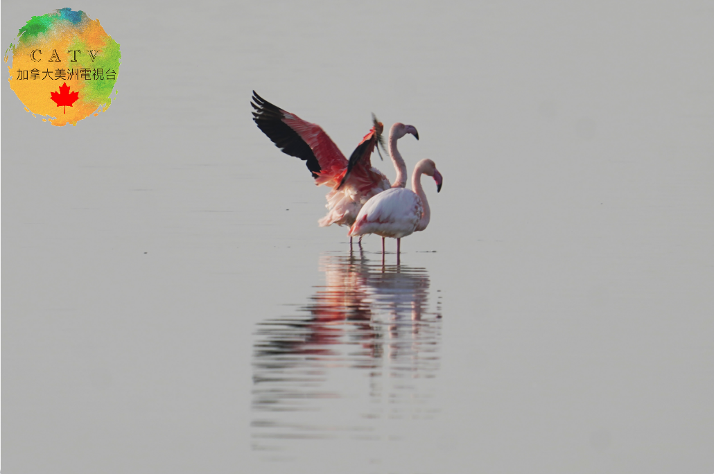 微信图片_20251130214039_591_77